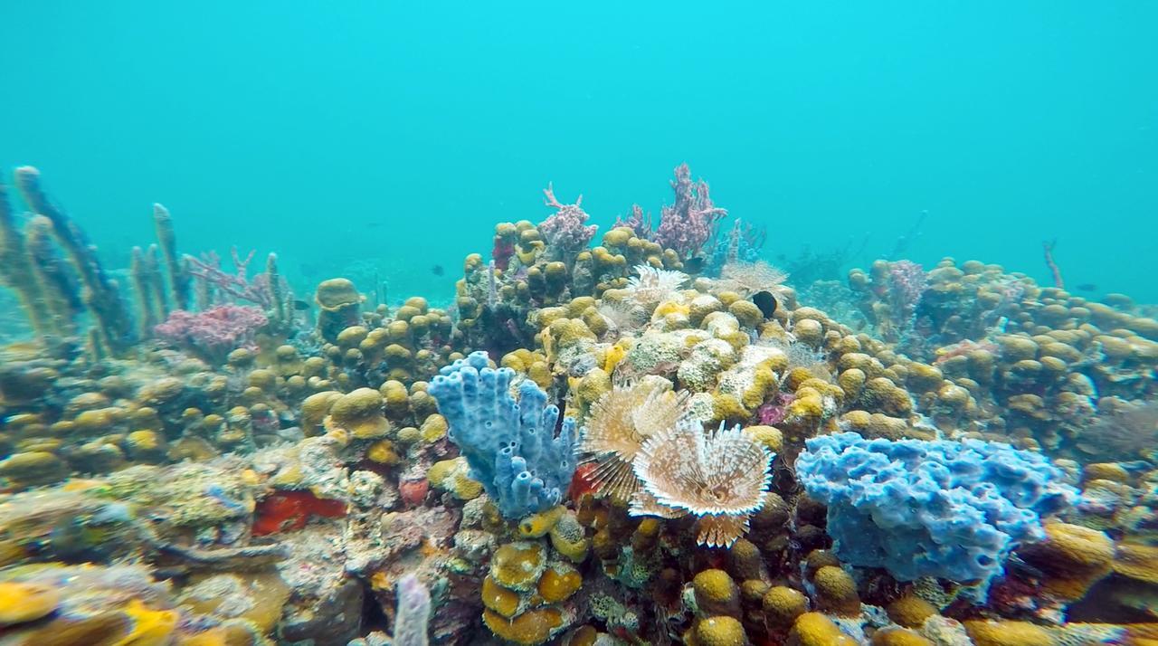Azul Paradise บาสติเมนตอส ภายนอก รูปภาพ