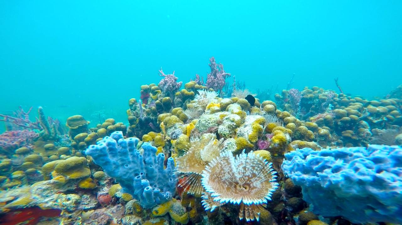 Azul Paradise บาสติเมนตอส ภายนอก รูปภาพ